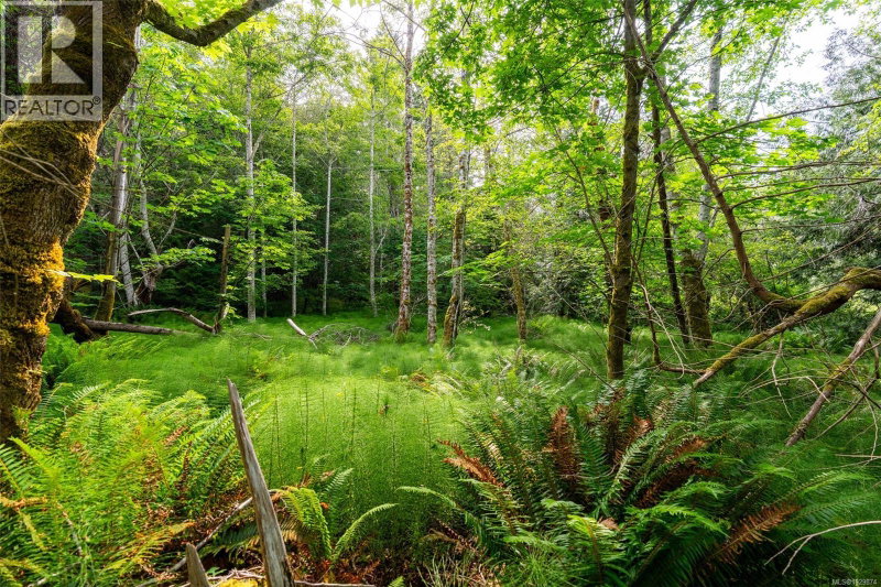 Image of home for listing MLS® 1029874