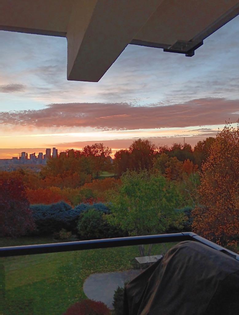 Image of home for listing MLS® A2350139