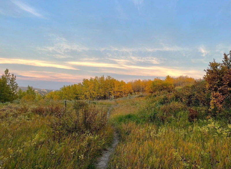 Image of home for listing MLS® A2350846