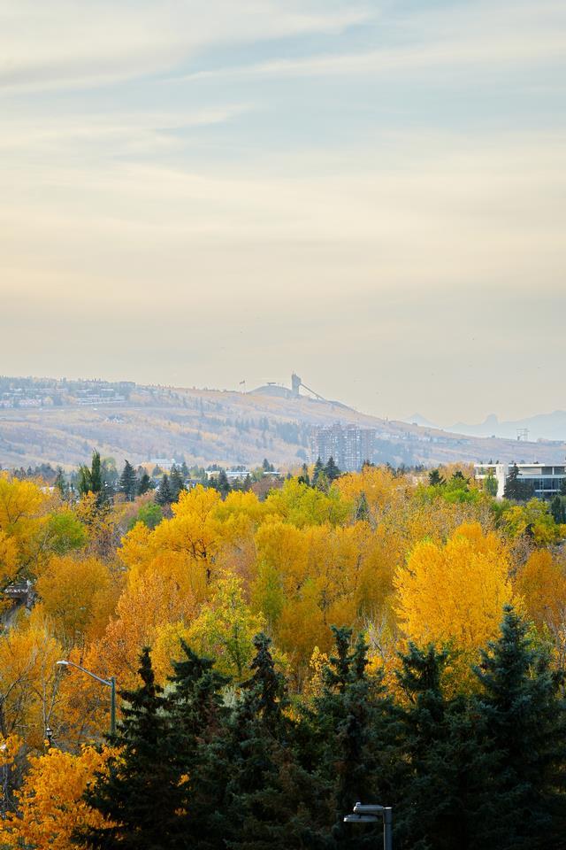Image of home for listing MLS® A2351658