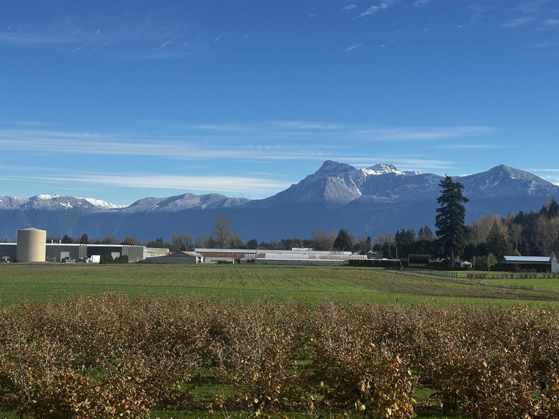 Image of home for listing MLS® R3079040