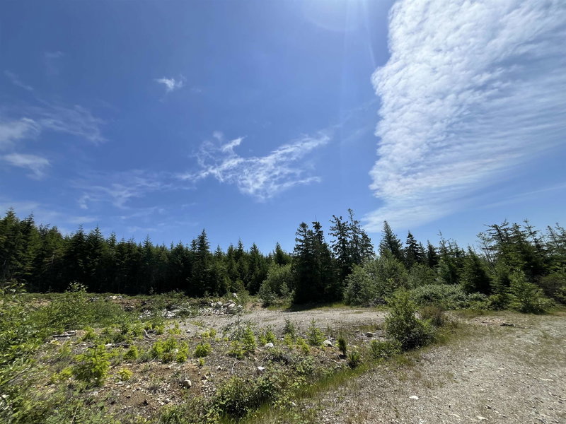Image of home for listing MLS® R3083703