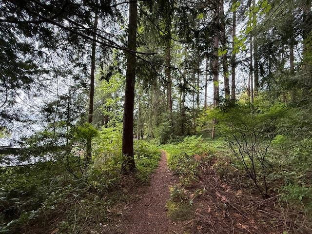 Image of home for listing MLS® R3089017