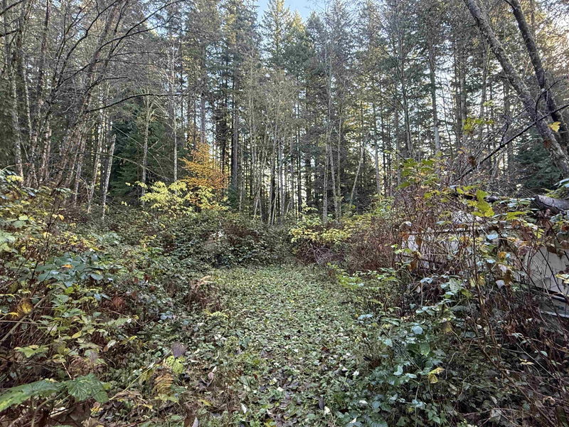 Image of home for listing MLS® R3109859