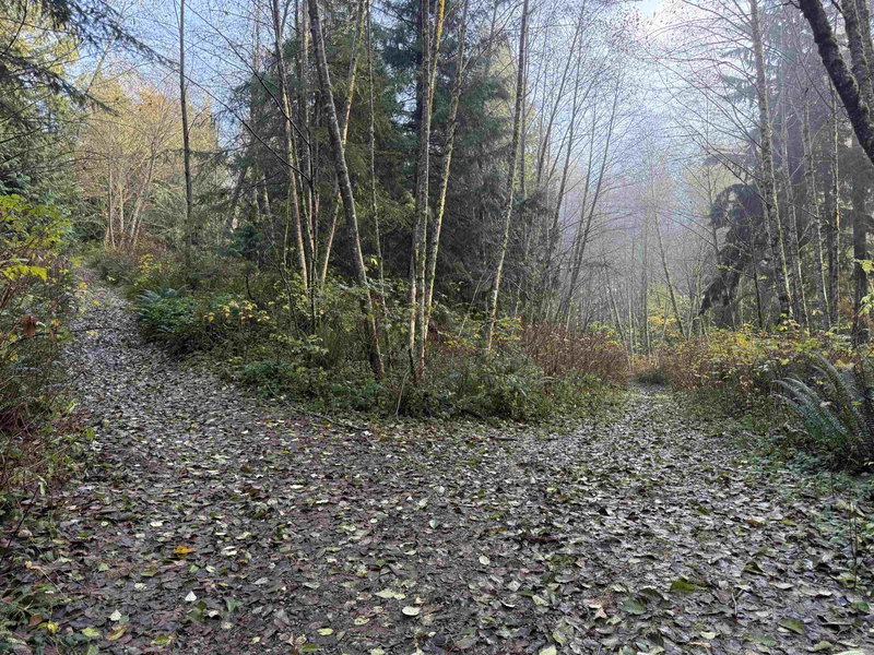 Image of home for listing MLS® R3109859