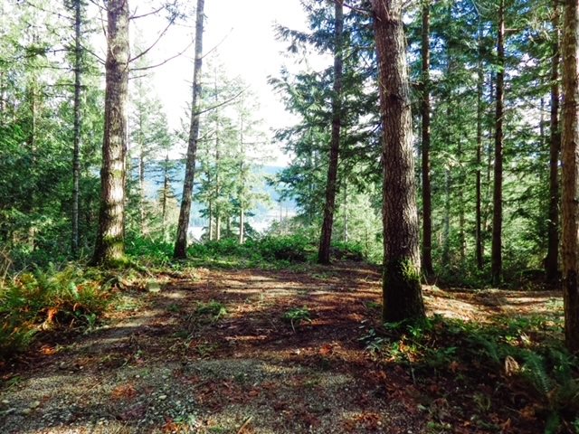 Image of home for listing MLS® R3114570