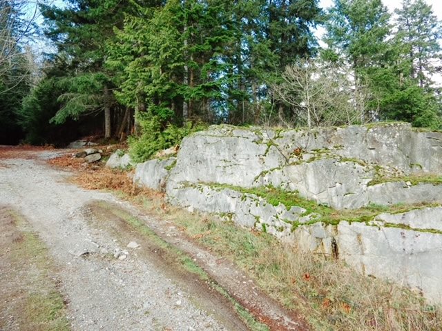 Image of home for listing MLS® R3114570