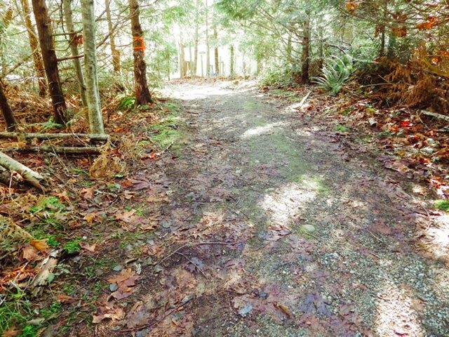 Image of home for listing MLS® R3114570