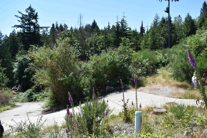 Image of home for listing MLS® R3138280