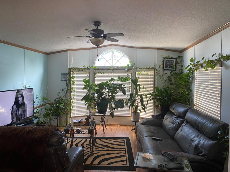 Image of home for listing MLS® R3145338