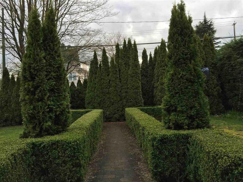 Image of home for listing MLS® R3146674