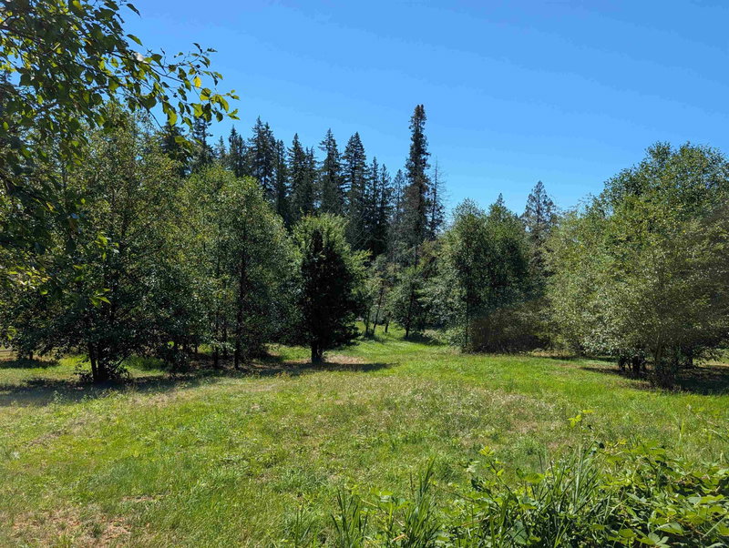 Image of home for listing MLS® R3147900