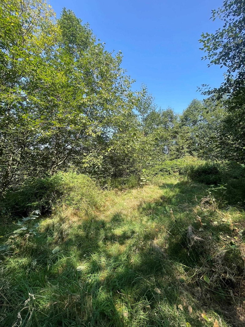 Image of home for listing MLS® R3157754