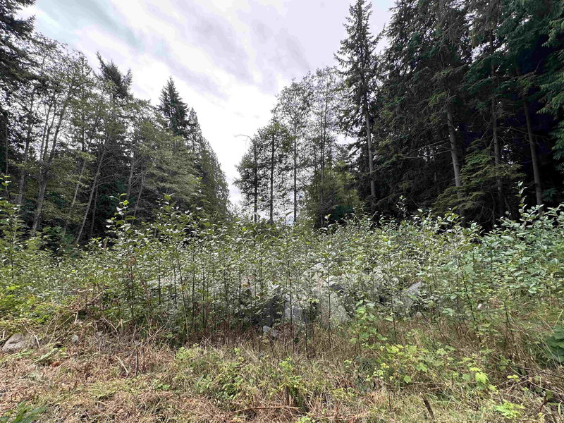 Image of home for listing MLS® R3159950