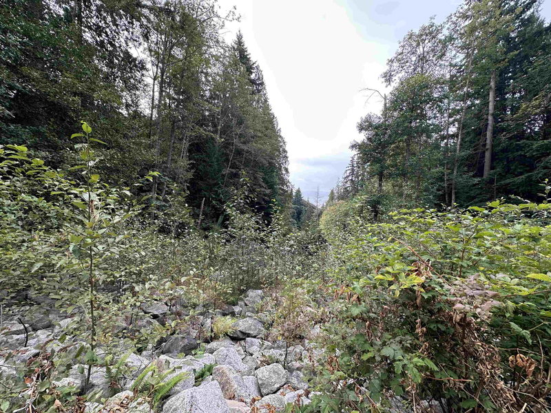 Image of home for listing MLS® R3159950