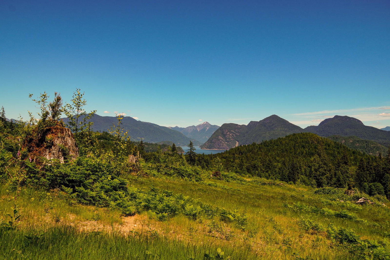 Image of home for listing MLS® R3160146