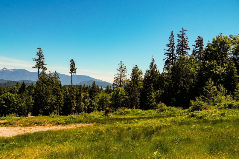 Image of home for listing MLS® R3160146