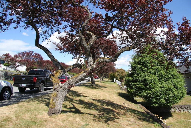 Image of home for listing MLS® R3161428