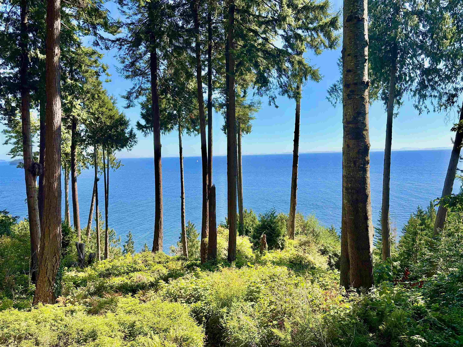 Image of home for listing MLS® R3169694