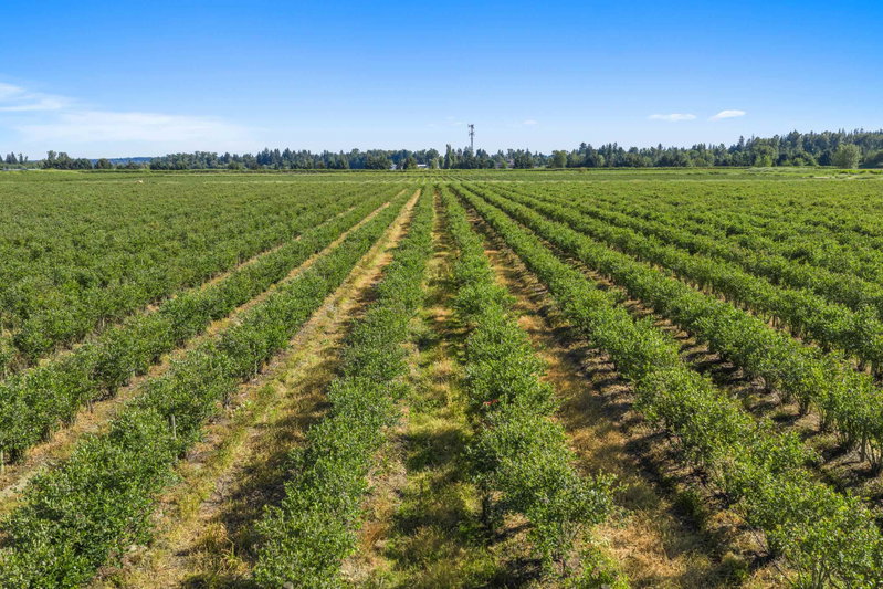 Image of home for listing MLS® R3172024