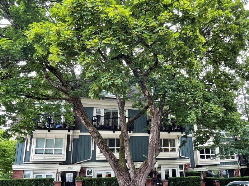 Image of home for listing MLS® R3174193