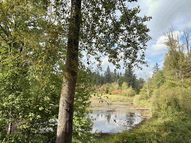 Image of home for listing MLS® R3177776