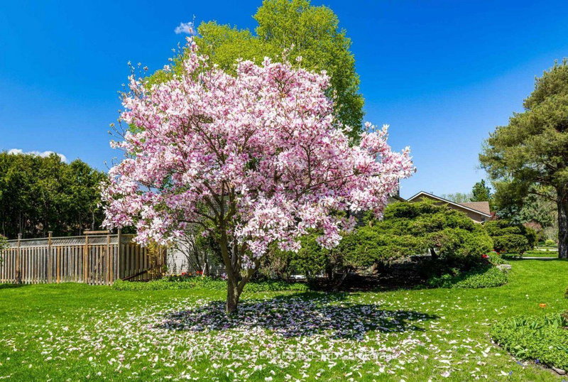 Image of home for listing MLS® C14033814