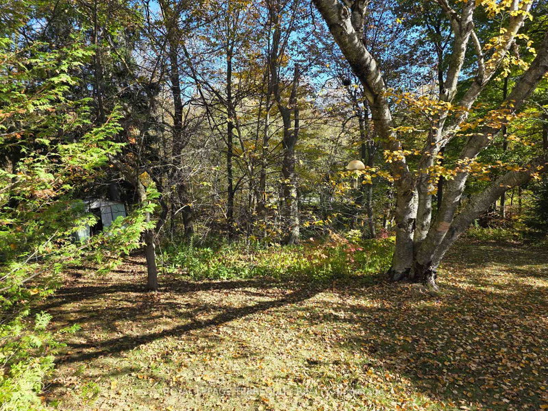 Image of home for listing MLS® E14098594