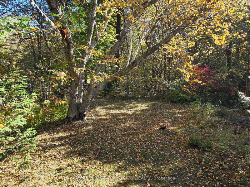 Image of home for listing MLS® E14098594