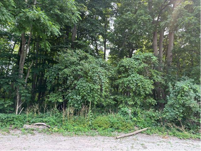 Image of home for listing MLS® N13623182