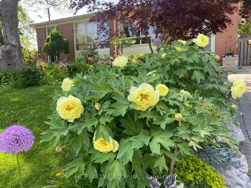 Image of home for listing MLS® N14089750