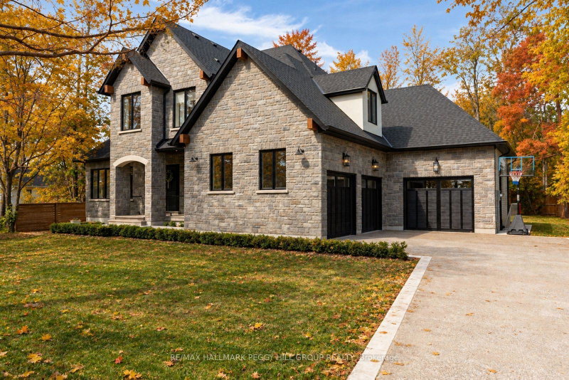 Image of home for listing MLS® N14100290