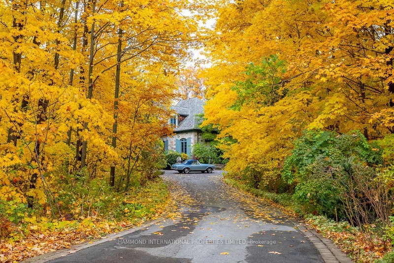 Image of home for listing MLS® N14103508