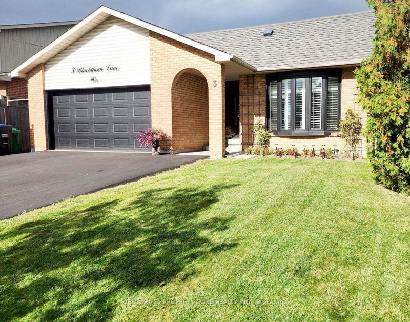 Image of home for listing MLS® W13859838
