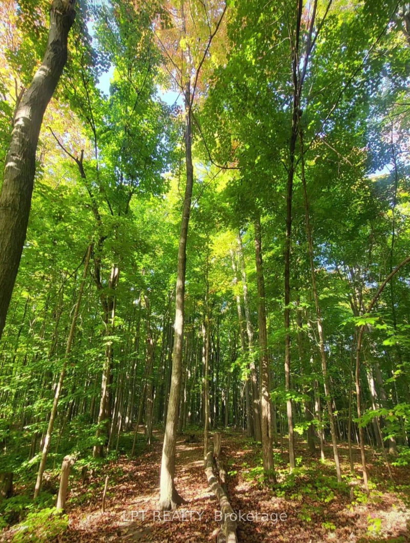 Image of home for listing MLS® W13878940