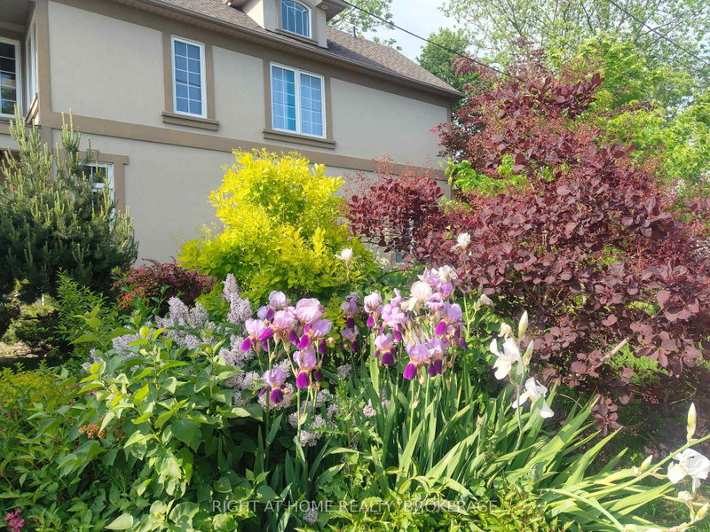 Image of home for listing MLS® X13432216