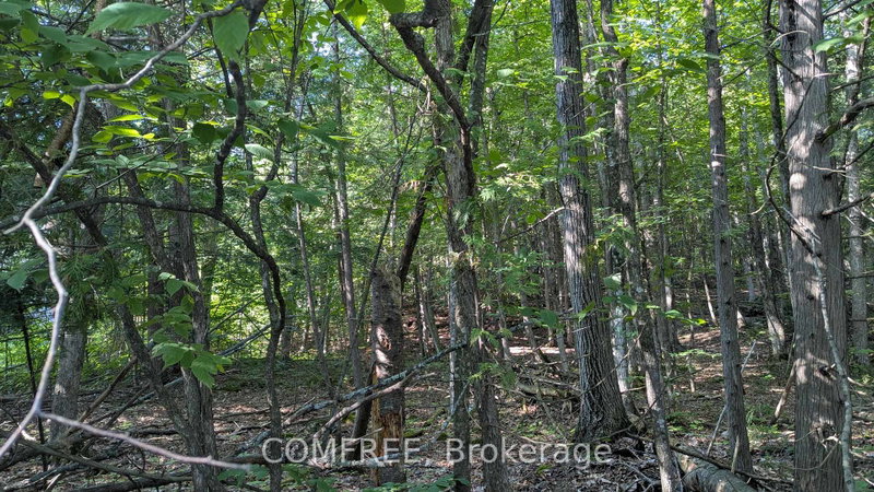 Image of home for listing MLS® X13685060