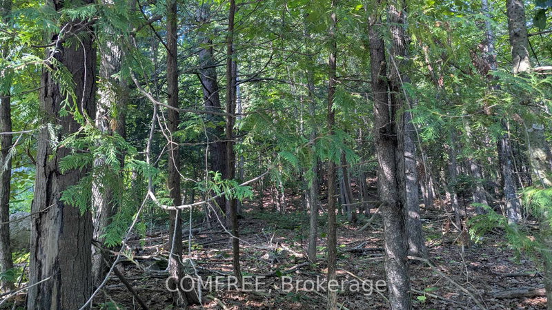 Image of home for listing MLS® X13685060