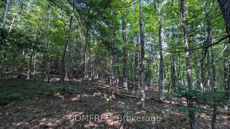 Image of home for listing MLS® X13685060