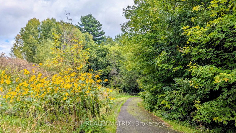 Image of home for listing MLS® X13695498