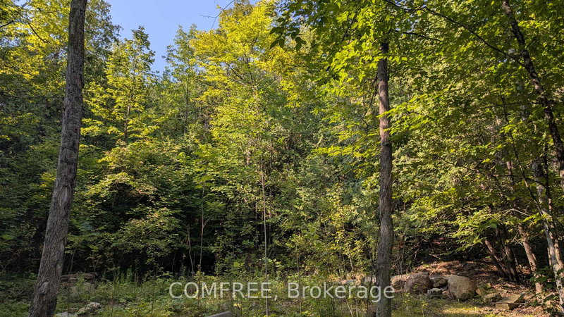 Image of home for listing MLS® X13708330