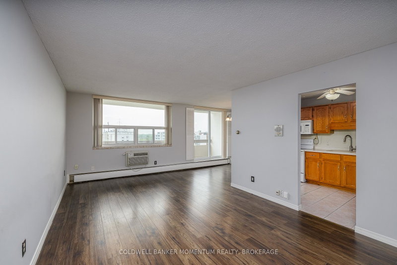 Image of home for listing MLS® X13716310