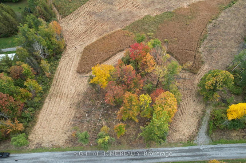 Image of home for listing MLS® X13804954