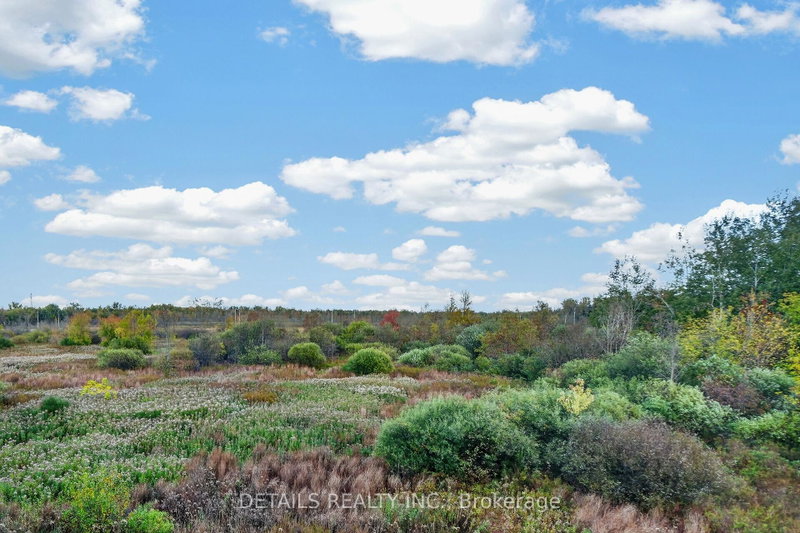 Image of home for listing MLS® X13879346